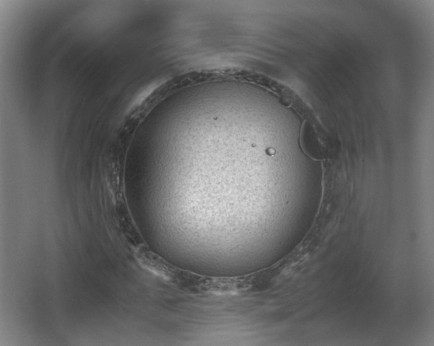 X0000066960871200603311421