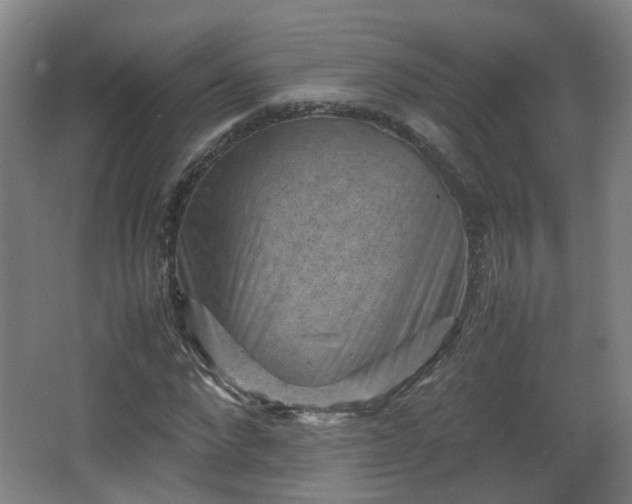 X0000066960872200603311420