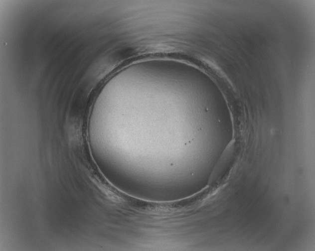 X0000066960873200603311420