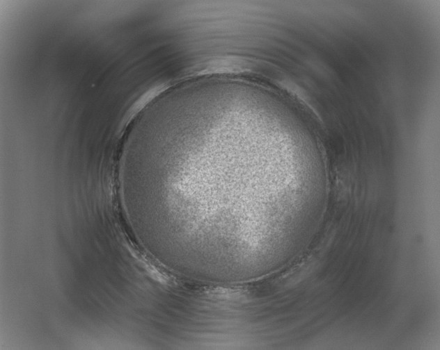 X0000066960874200603311420