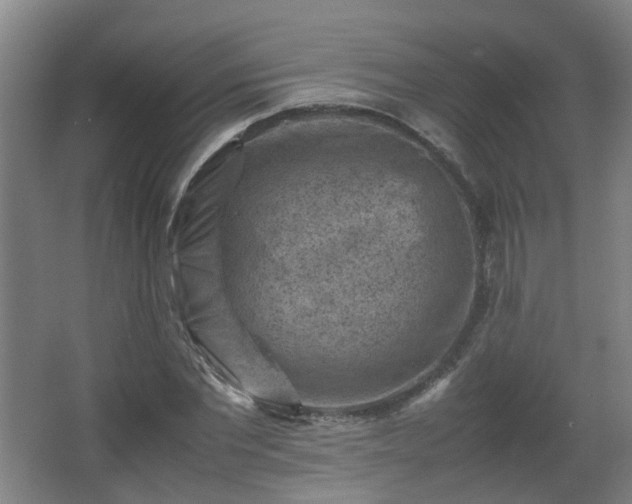 X0000066960877200603311420