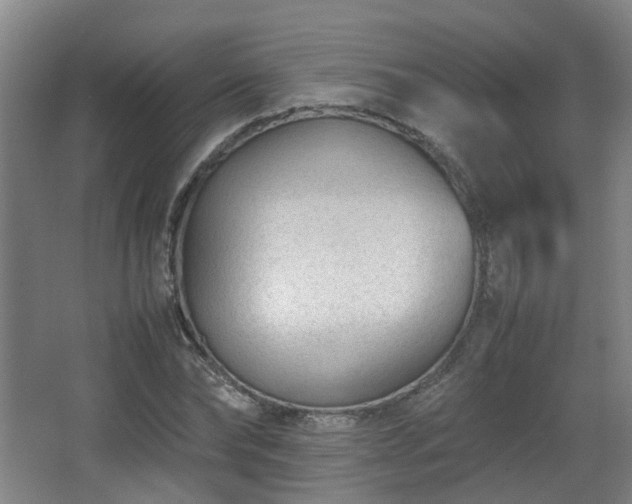 X0000066960878200603311420