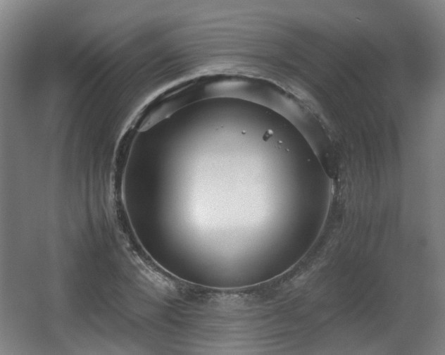 X0000066960880200603311420