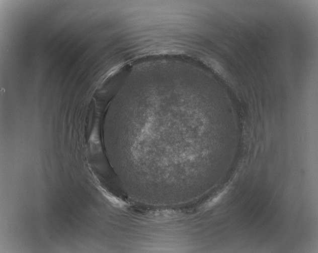 X0000066960881200603311420