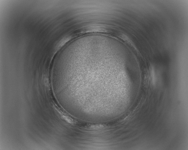 X0000066960882200603311420