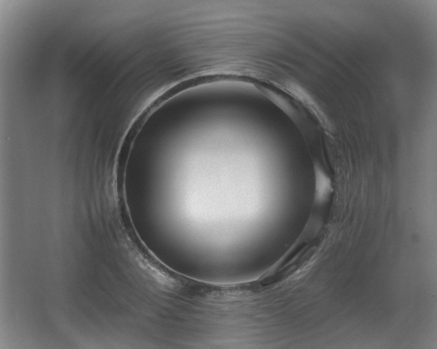 X0000066960884200603311420