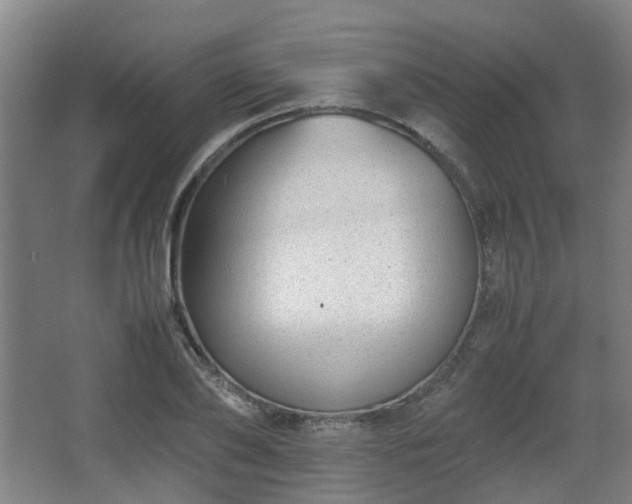 X0000066960886200603311420