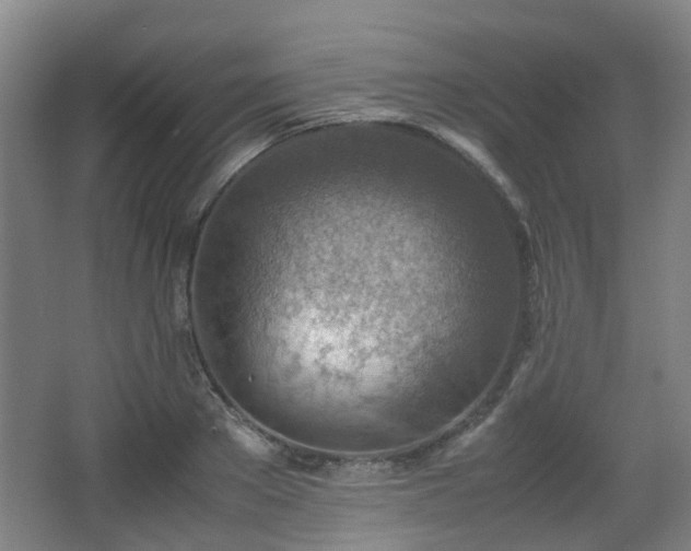 X0000066960889200603311420