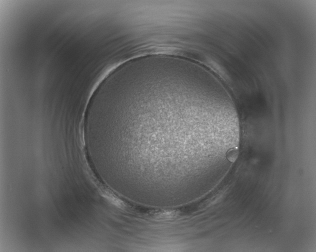 X0000066960891200603311420