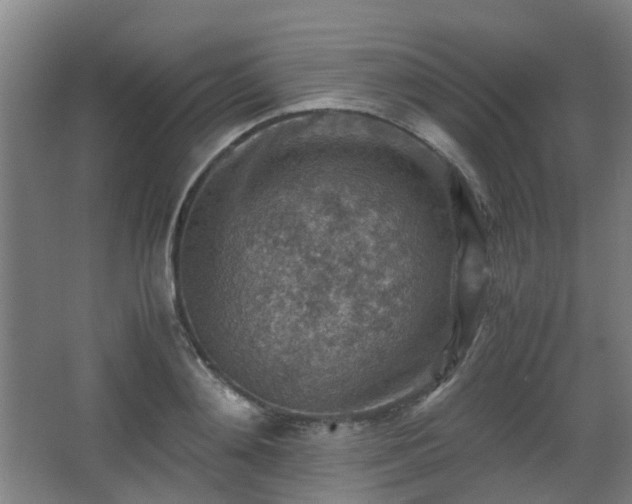 X0000066960892200603311420