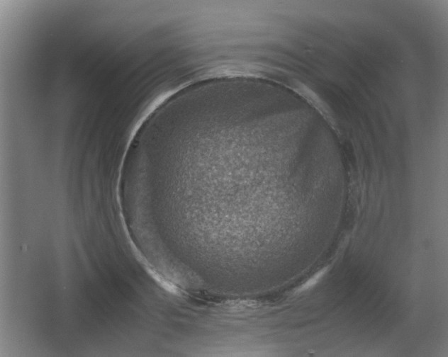 X0000066960893200603311420