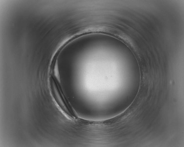 X0000066960894200603311420