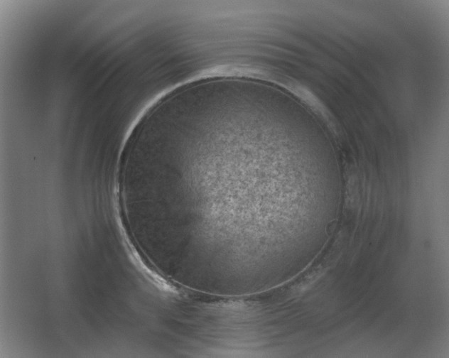 X0000066960896200603311420