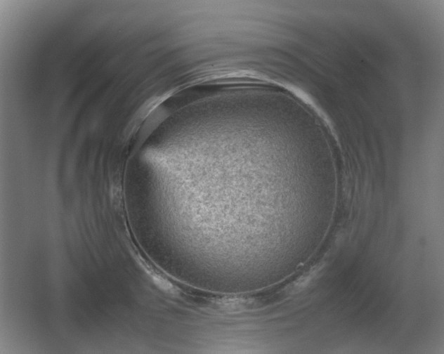 X0000066960897200603311420