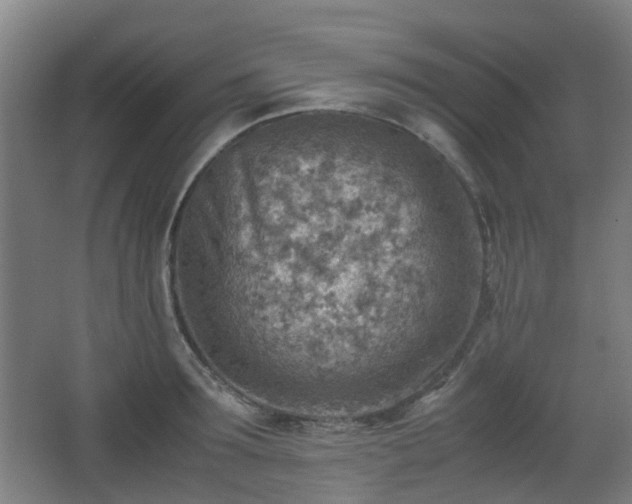 X0000066960899200603311420