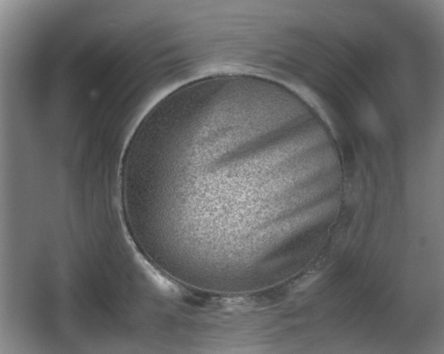 X0000066960903200603311420