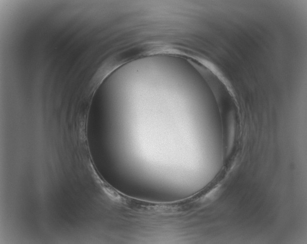 X0000066960905200603311420