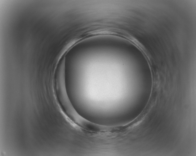 X0000066960909200603311420