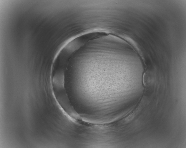 X0000066960910200603311420