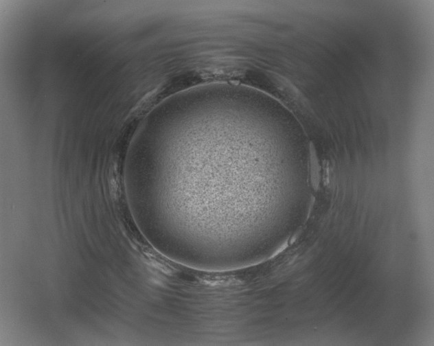 X0000066960915200603311419