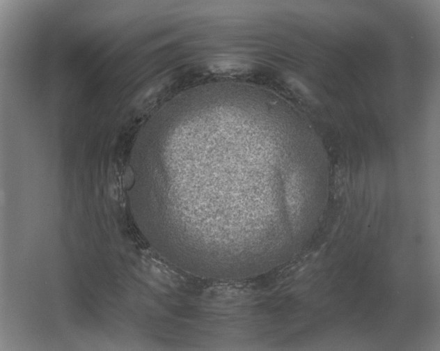 X0000066960917200603311419