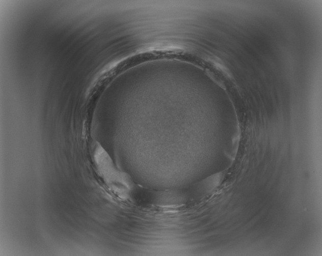 X0000066960920200603311419