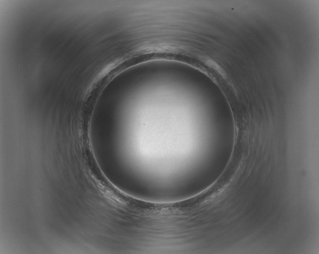 X0000066960922200603311419