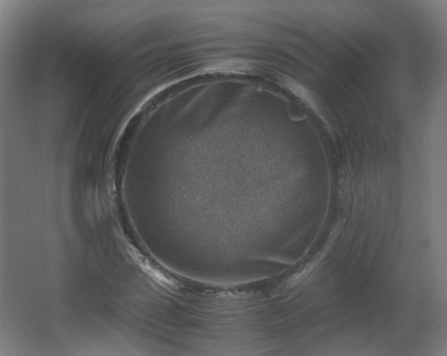 X0000066960923200603311419