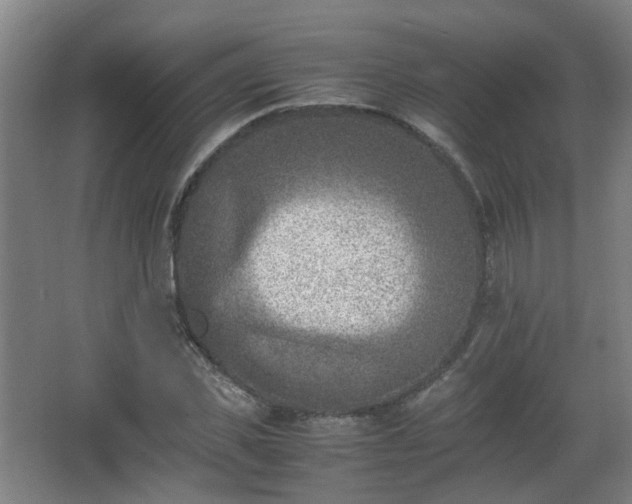 X0000066960925200603311419