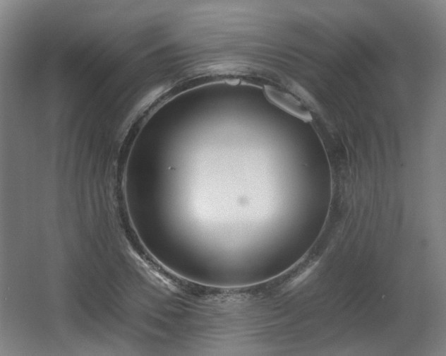 X0000066960930200603311419