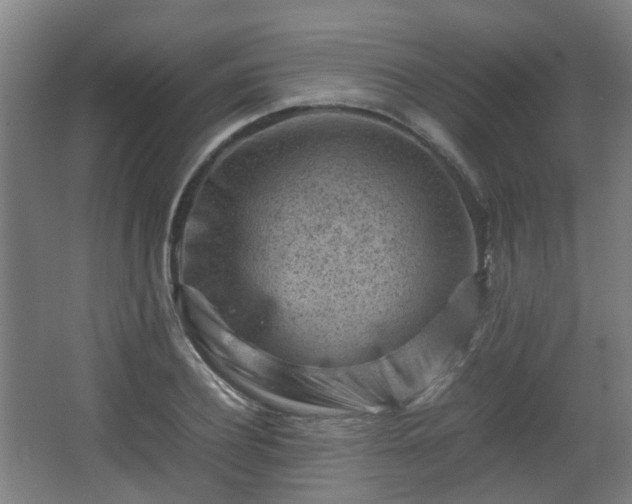 X0000066960932200603311419