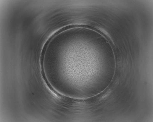 X0000066960935200603311419