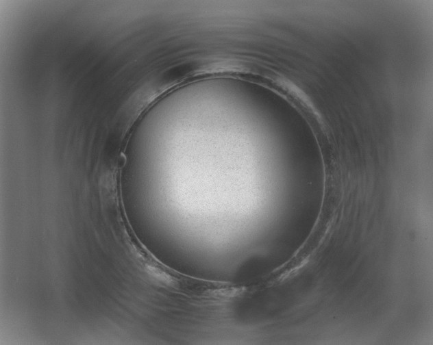 X0000066960937200603311419