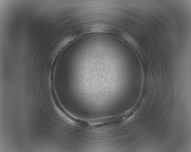 X0000066960938200603311419