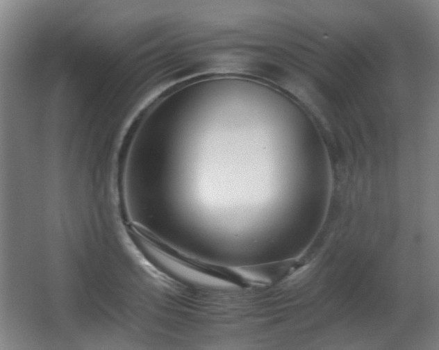 X0000066960939200603311419