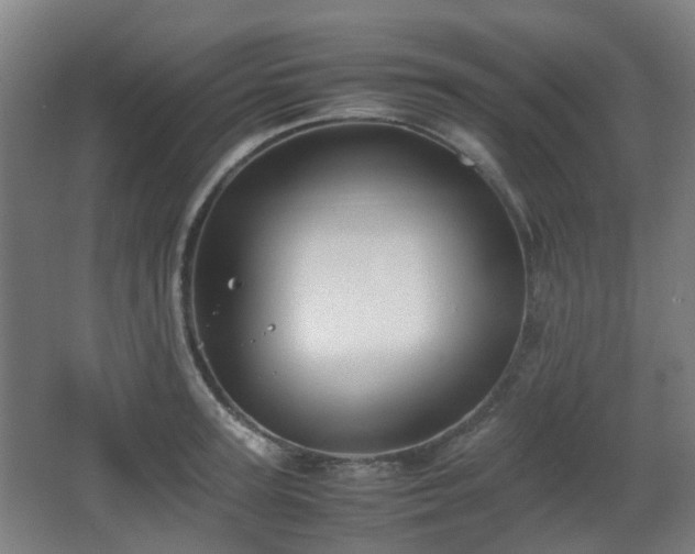 X0000066960947200603311420