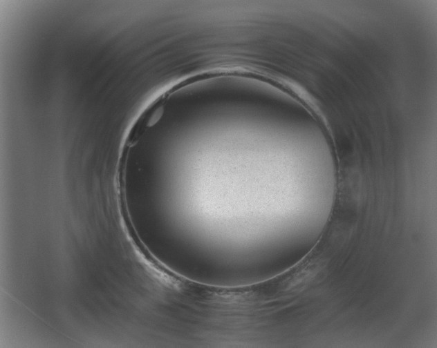 X0000066960951200603311420