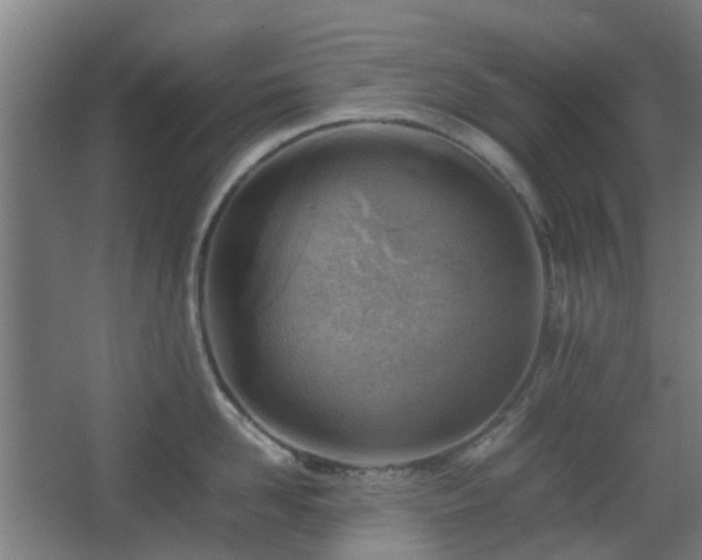 X0000066960958200603311420