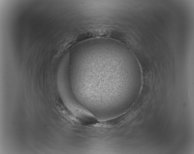 X0000066960961200603311419