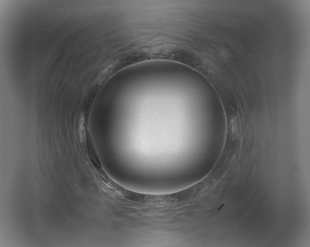 X0000066960963200603311419