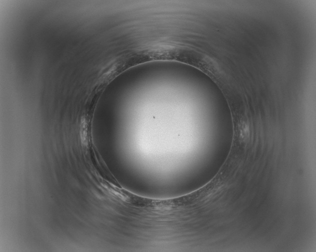 X0000066960964200603311419