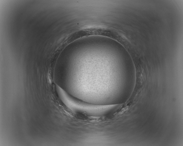 X0000066960965200603311419