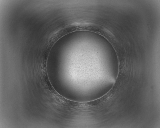 X0000066960966200603311419