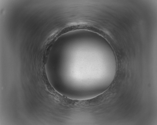 X0000066960967200603311419