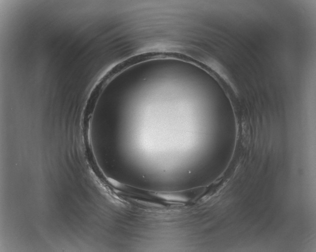 X0000066960972200603311419