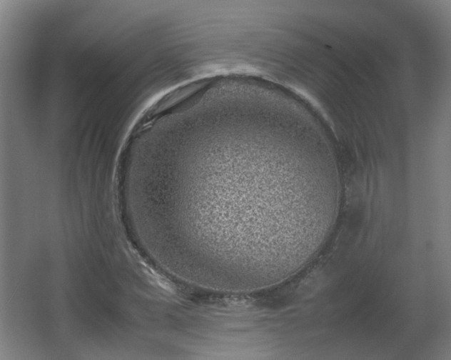 X0000066960975200603311419