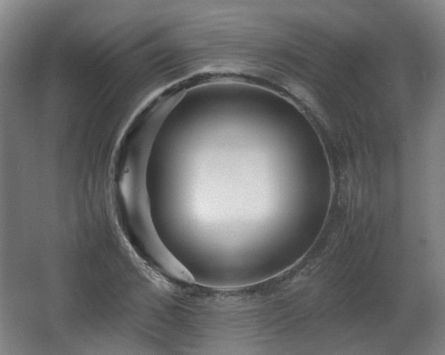 X0000066960976200603311419