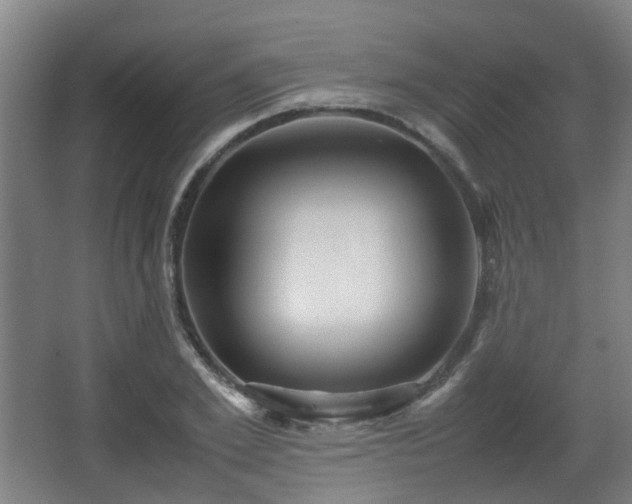 X0000066960981200603311419