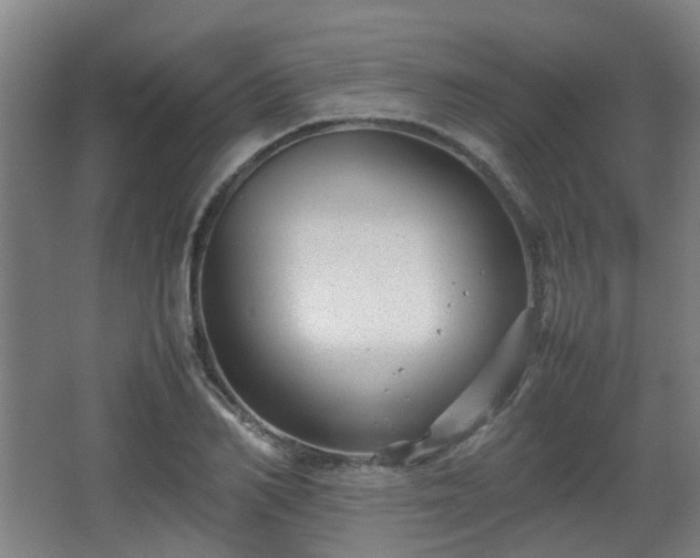 X0000066960982200603311419