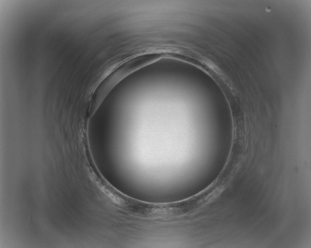 X0000066960985200603311419